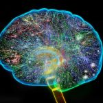 bigbrainzy