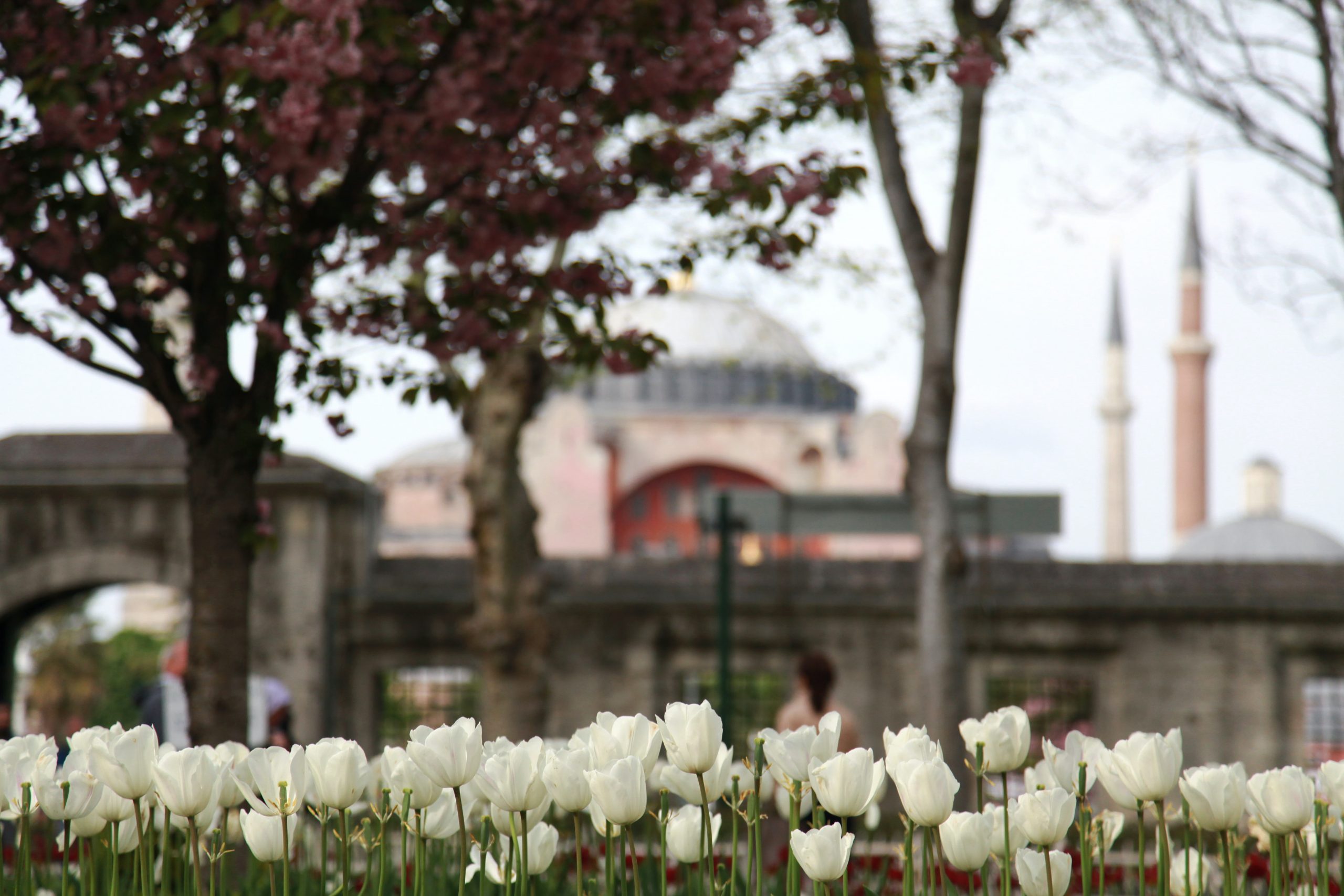 Ottoman Europeanism: Importance of Tulip Era