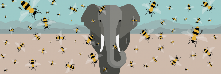 How Tiny Bees Save Mammoth Elephants