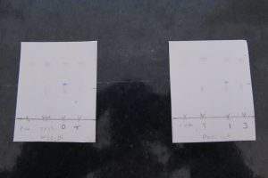 Photograph of two TLC plates showing how the ink from a receipt came from two different pens. 