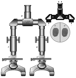 Image of a comparison Microscope