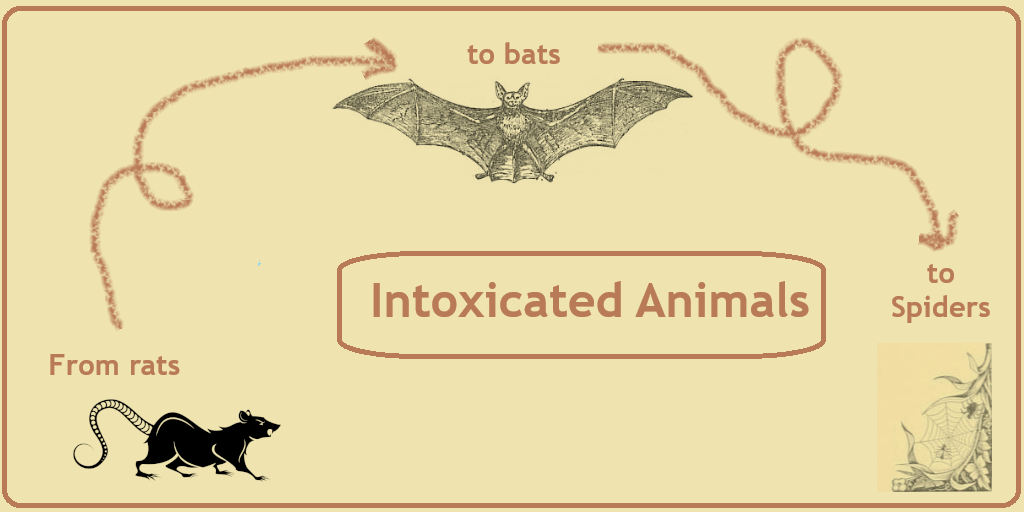 Intoxicated Animals