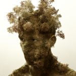 an-article-on-human-nature