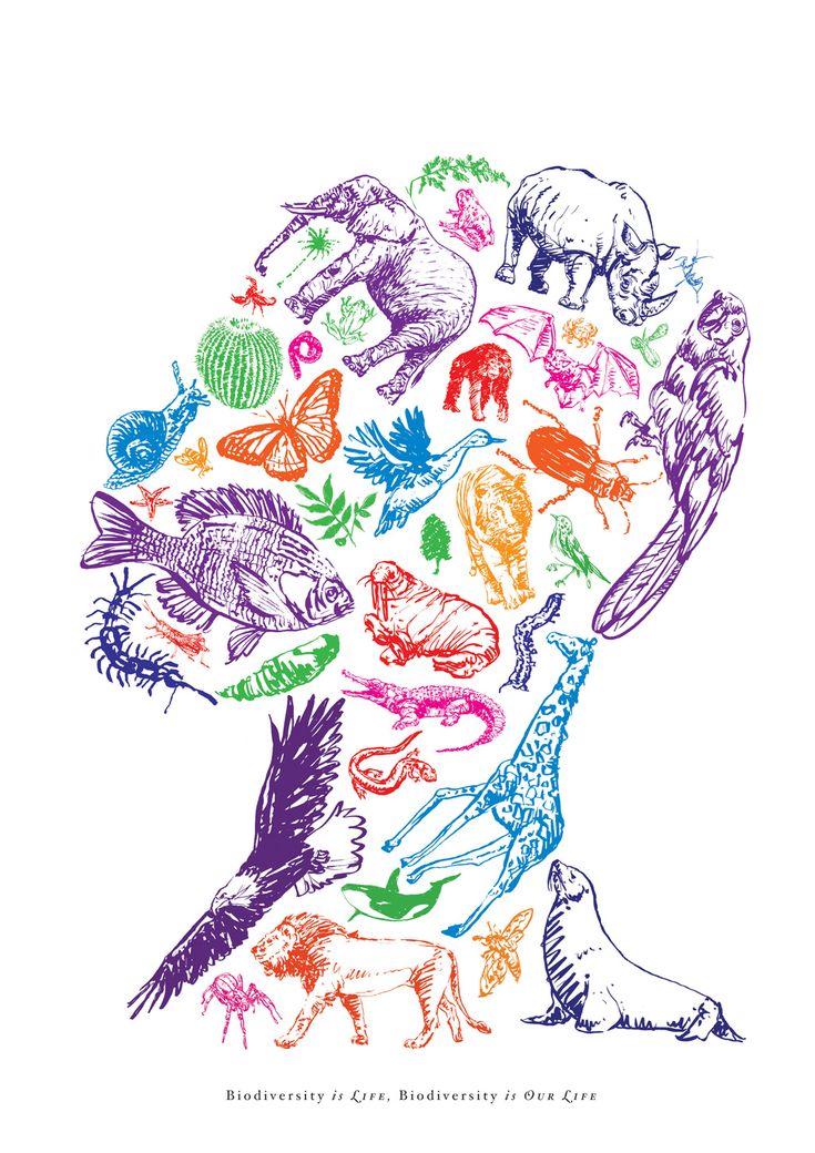 biodiversity